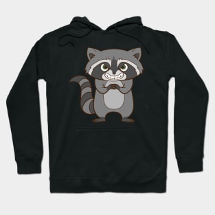 A really nasty raccoon. Hoodie